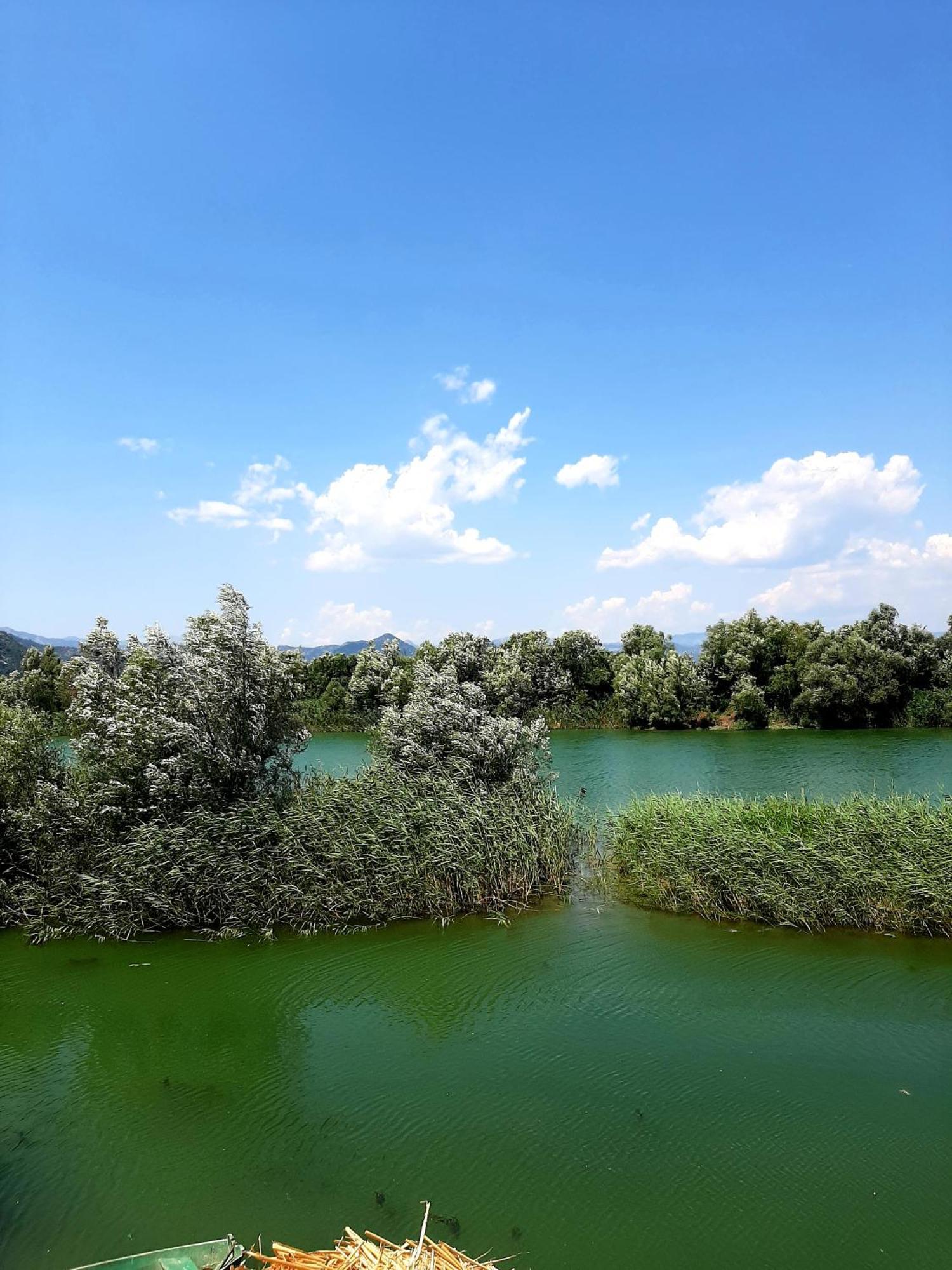 Skadar Lake House Virpazar Kültér fotó
