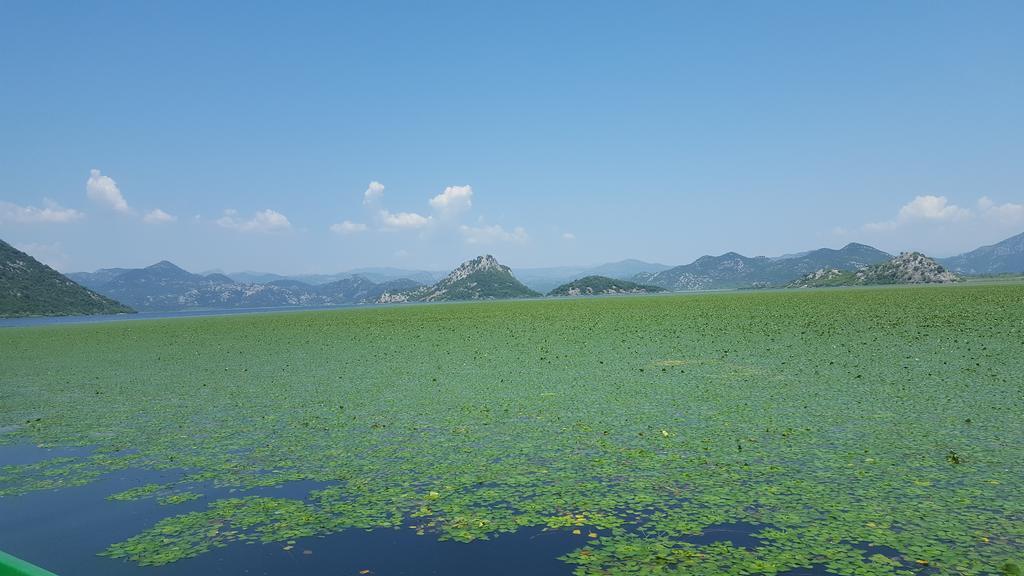 Skadar Lake House Virpazar Kültér fotó
